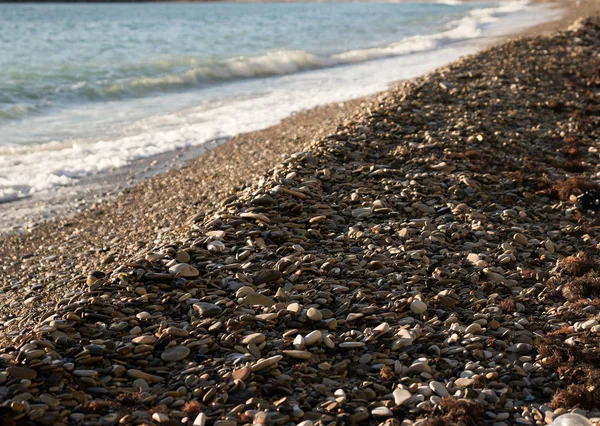 Beach — Stock Photo, Image