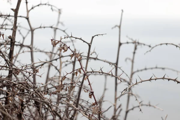 Strand — Stock Fotó