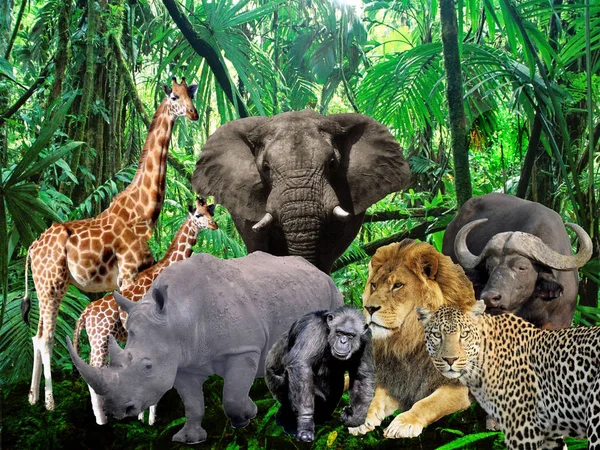 Wildlife in the Jungle, Digital Art Stok Fotoğraf