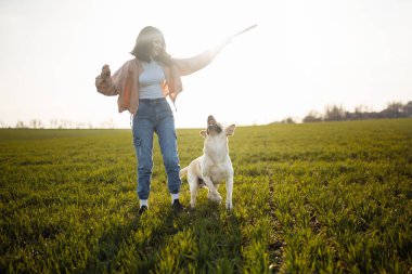 Neşeli Labrador Retriever köpeği, güneşli bir bahar gününde sahibiyle birlikte koşup sahaya atlıyor. Genç oyuncu köpek yeşil çimlerde aktif. Mutlu hayvan konsepti