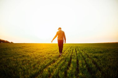 Genç çiftçi yeşil alanda duruyor ve hasadın büyümesini bekliyor. Gün batımında yeşil tişörtlü ve şapkalı bir çocuğun çimenlikte yürüdüğünü gördüm. Tarım kavramı
