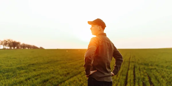 若い農家は緑の畑に立って収穫が育つのを待っています 芝生の上を歩いている男の子が緑色のシャツとキャップを着て日没の景色 農業の概念 — ストック写真