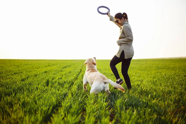 Vidám Boldog Kutya Labrador Retriever Játszik Fiatal Tulajdonosa Egy Zöld — Stock Fotó