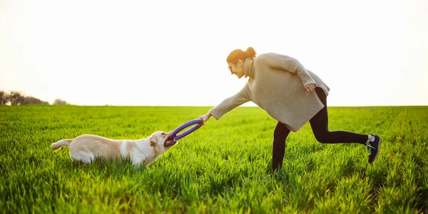Veselý Šťastný Pes Labrador Retrívr Hraje Svou Mladou Ženou Majitelkou — Stock fotografie
