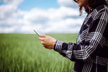 Kareli gömlek giyen genç çiftçi yeşil buğday tarlasında hasat sürecini kontrol ediyor. Yeni buğday ekinleri büyüyor. Tarım ve tarım kavramı