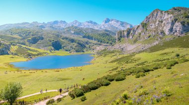 Picos de Europa, Asturias, İspanya 'daki Covadonga Gölleri' nin (Lagos de Covadonga) inanılmaz manzarası