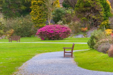 Güzel Muckross bahçesi İlkbaharda, Killarney, İrlanda