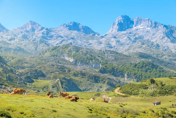 Amazing landscape of Covadonga Lakes (Lagos de Covadonga) in Picos de Europa, Asturias, Spain