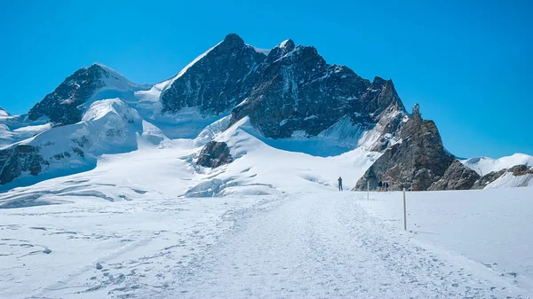 Turister Jungfrau Bjerg Schweiz - Stock-foto