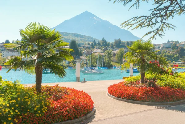 Spiez Porto Lago Thun Spiez Bernese Oberland Suíça — Fotografia de Stock