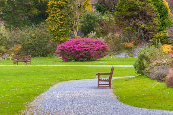 Güzel Muckross bahçesi İlkbaharda, Killarney, İrlanda