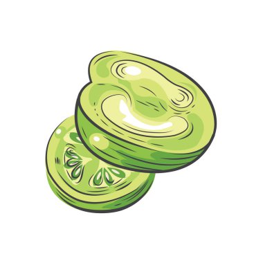 Yeşil domates vektör tasarım suluboya çizimi