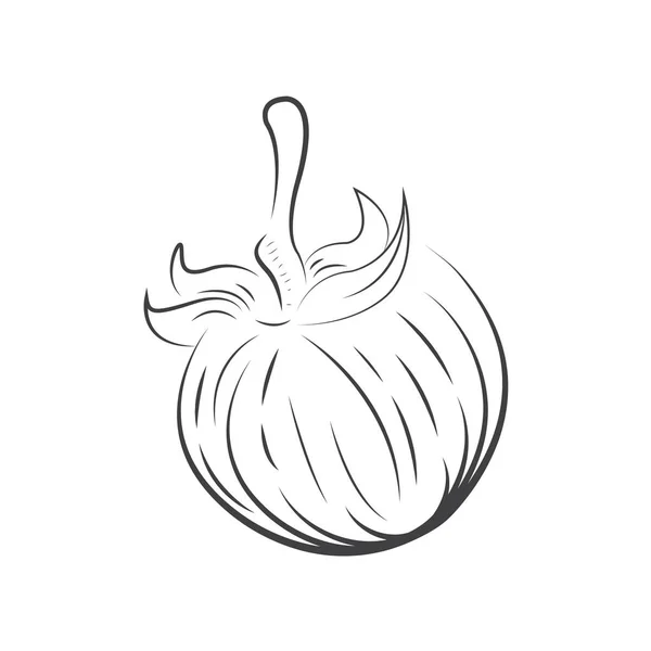 Icono de dibujo de tomate soporte de diseño de vectores eps10 . — Archivo Imágenes Vectoriales