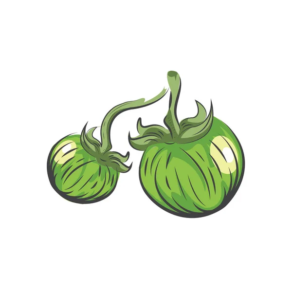 Verde Tomate vector dibujo icono acuarela — Archivo Imágenes Vectoriales