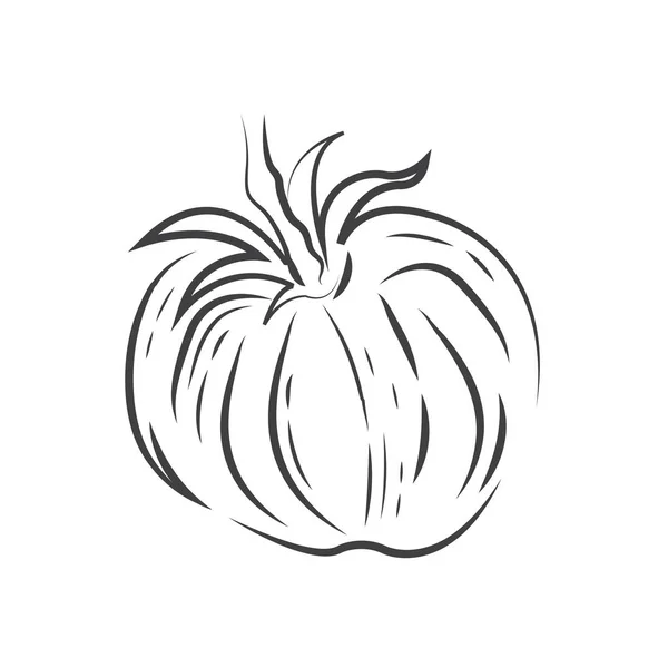 Un icono de dibujo de tomate — Archivo Imágenes Vectoriales