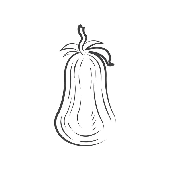 Tomat ritning ikon design — Stock vektor