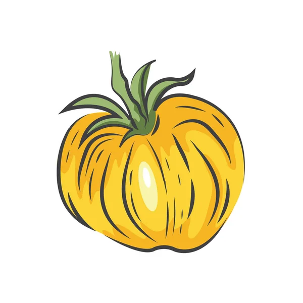 Amarillo un icono de dibujo de tomate — Archivo Imágenes Vectoriales