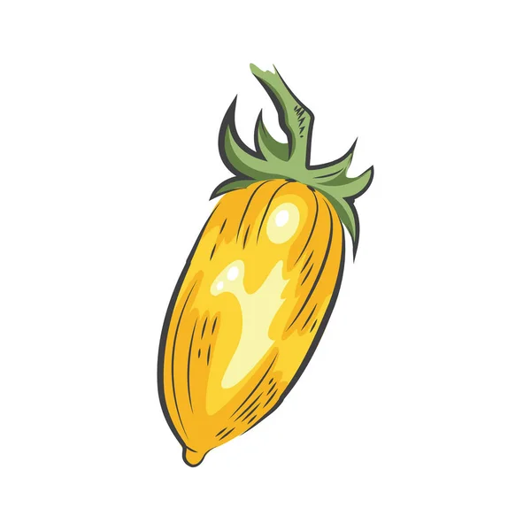 Icono de dibujo de tomate amarillo — Archivo Imágenes Vectoriales