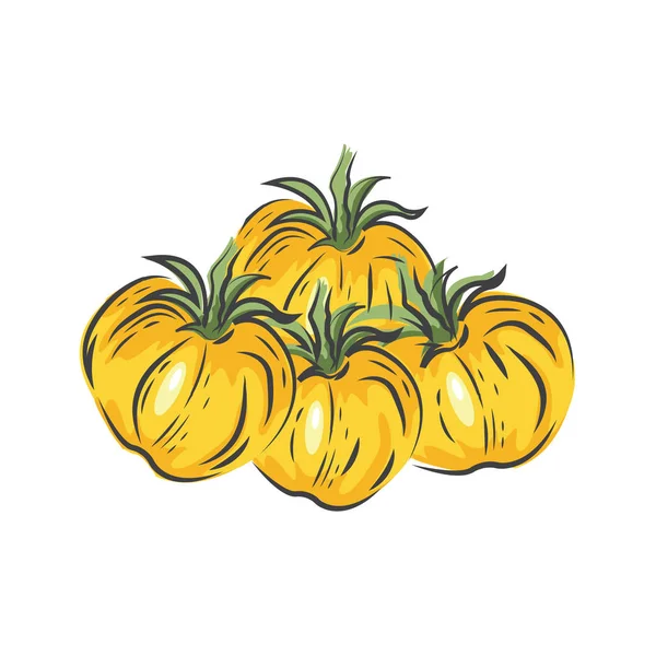 Vector amarillo icono de dibujo de tomate — Archivo Imágenes Vectoriales