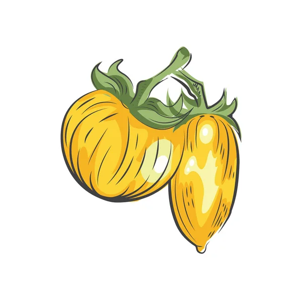 Amarillo Tomate dibujo icono vector — Archivo Imágenes Vectoriales