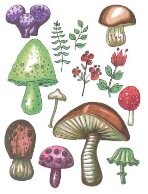 Mantar elle çizilmiş kroki çizim