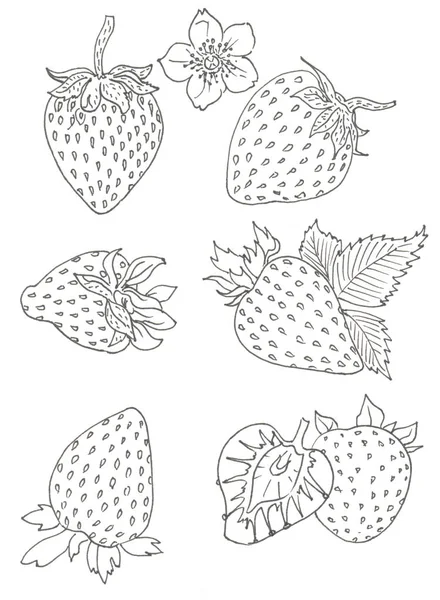 Set di fragole isolate su bianco — Vettoriale Stock
