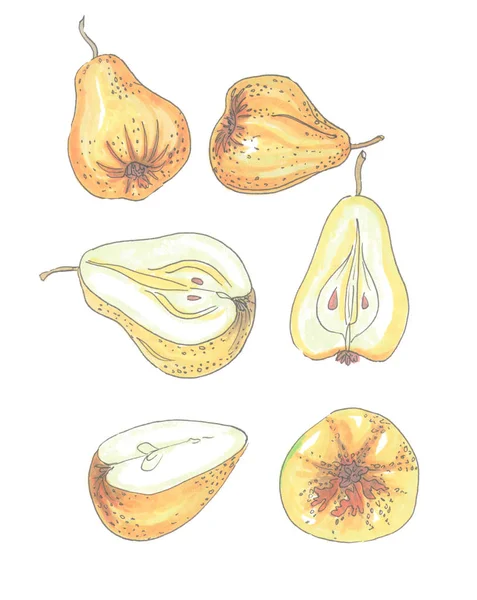 Gula päron i olika former — Stockfoto