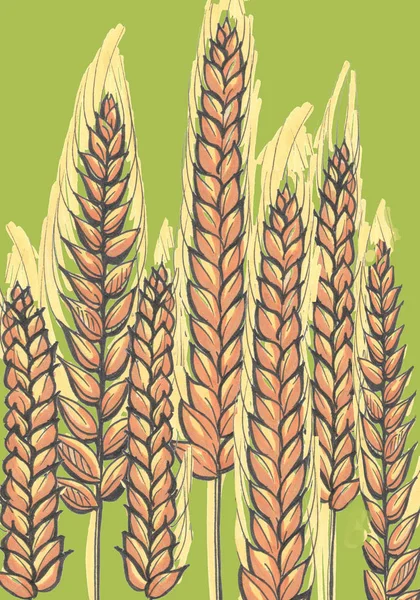 Orelhas amarelas de trigo no fundo verde — Fotografia de Stock