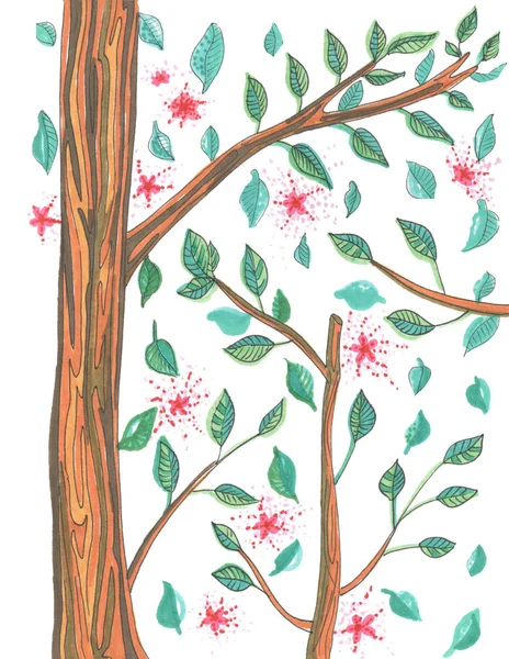 Tree branches with leaves and pink flowers on a white — 스톡 사진