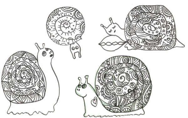 4 kleine doodle snailson een witte — Stockfoto
