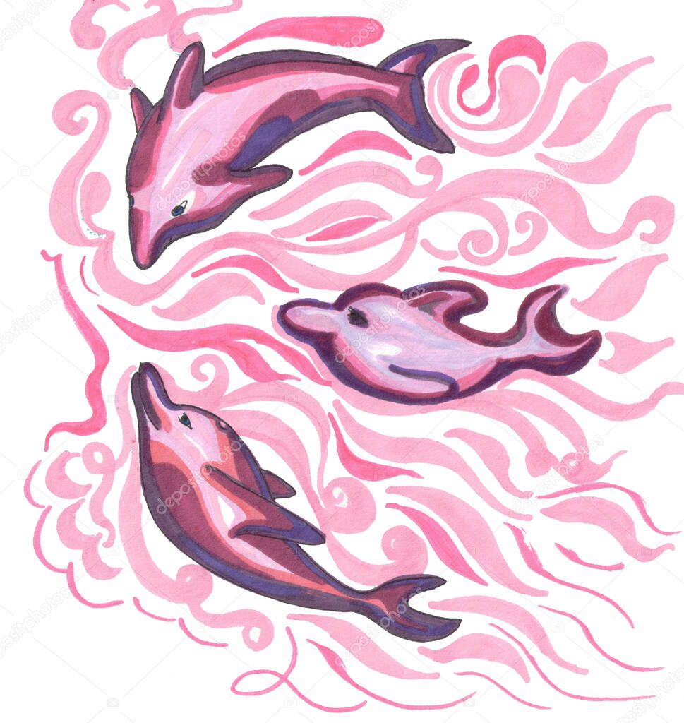 pink dolphins in a pink water