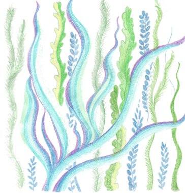 Beyaz arka planda çeşitli yosunlar