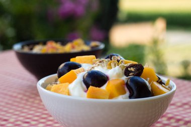 Yoğurtlu bir kase yulaf ezmesi, taze şeftali, yabanmersini ve kirazlar masada sağlıklı bir kahvaltı için. Bakış açısı. Sağlıklı gıda konsepti.