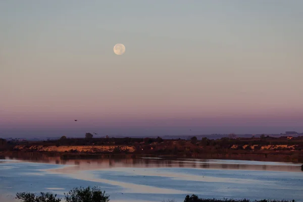 the moon looms over the lake in the dawn sky and is reflected in the lake water. Birds flying in front of the moon
