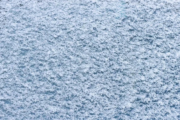 寒冷天气下的雪 — 图库照片