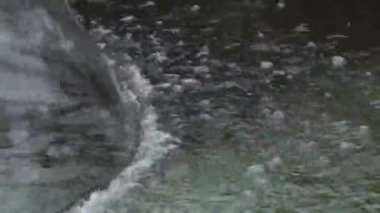 Bahçedeki dekoratif çeşme