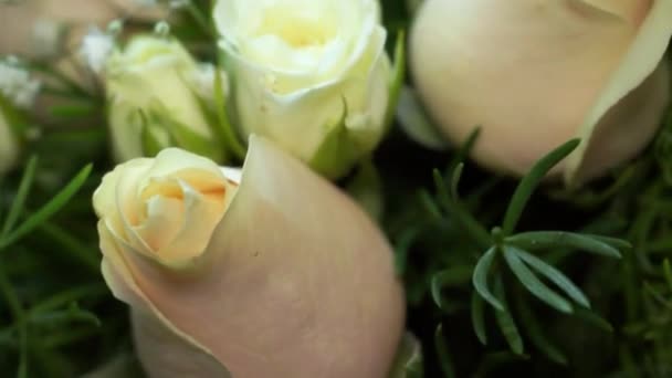 Bouquet Delicate Rose Crema — Video Stock