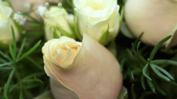 Μπουκέτο Από Λεπτά Τριαντάφυλλα Κρέμας — Αρχείο Βίντεο