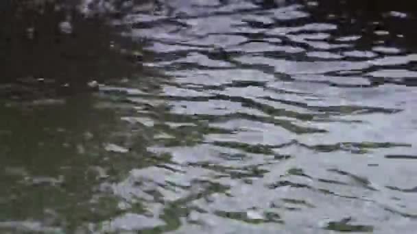 Blasen Auf Dem Wasser Neben Dem Brunnen — Stockvideo