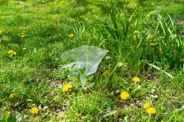 İnsan atıklarıyla doğayı kirletme sorunu