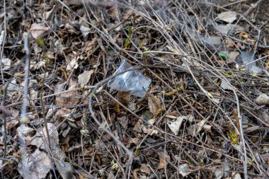 İnsan atıklarıyla doğayı kirletme sorunu