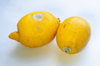 Beyaz arka planda iki bozuk limon