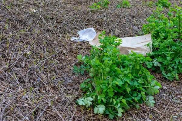 the problem of pollution of nature with human waste