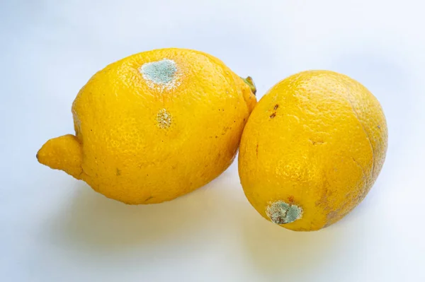 Beyaz arka planda iki bozuk limon