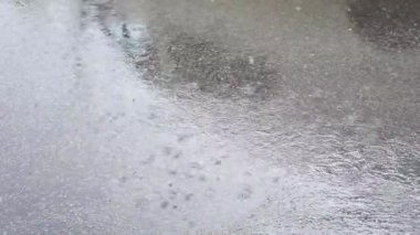 Asfalttaki su birikintisine yağmur damlıyor.