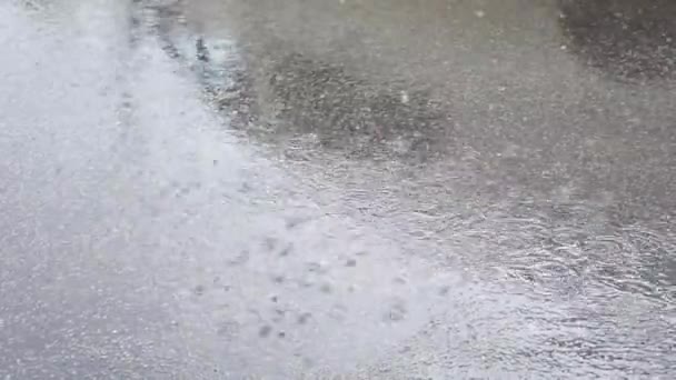 Pluie Coule Dans Flaque Eau Sur Asphalte — Video