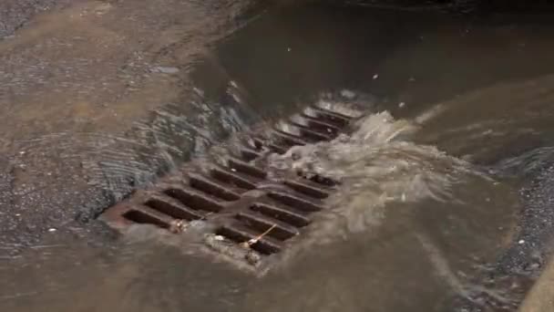 Vatten Rinner Avloppet Regn Genom Järnnätet — Stockvideo