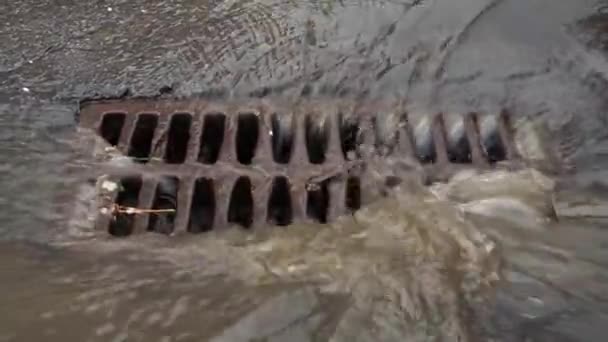 Вода Стікає Каналізацію Під Час Дощу Через Залізну Сітку — стокове відео