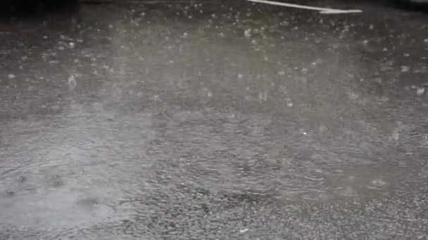 Pluie Coule Dans Flaque Eau Sur Asphalte — Video