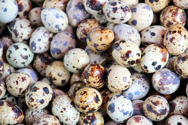 Čerstvá křepelčí vejce na trhu — Stock fotografie